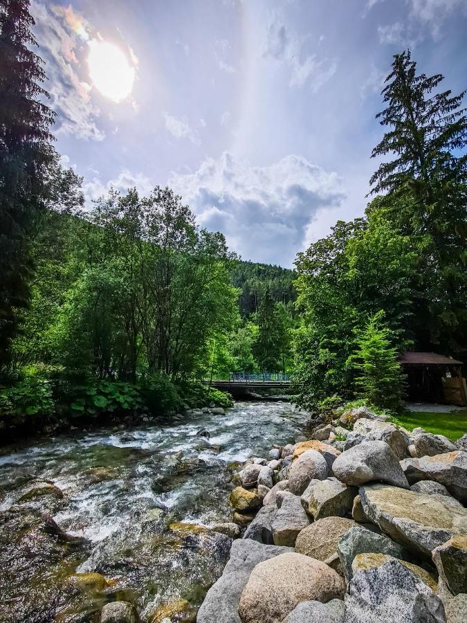 Tatrystay Riverstone Chalets Деменівська Долина Екстер'єр фото