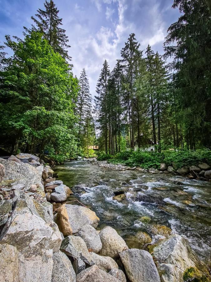 Tatrystay Riverstone Chalets Деменівська Долина Екстер'єр фото
